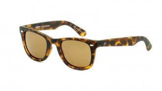 WE 3093 Tortoise cat3
